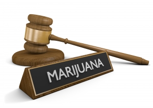 marijuana lawyer Iowa City